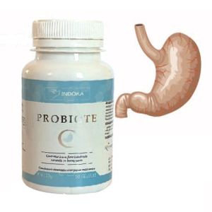 INDOKA PROBIOTIC
