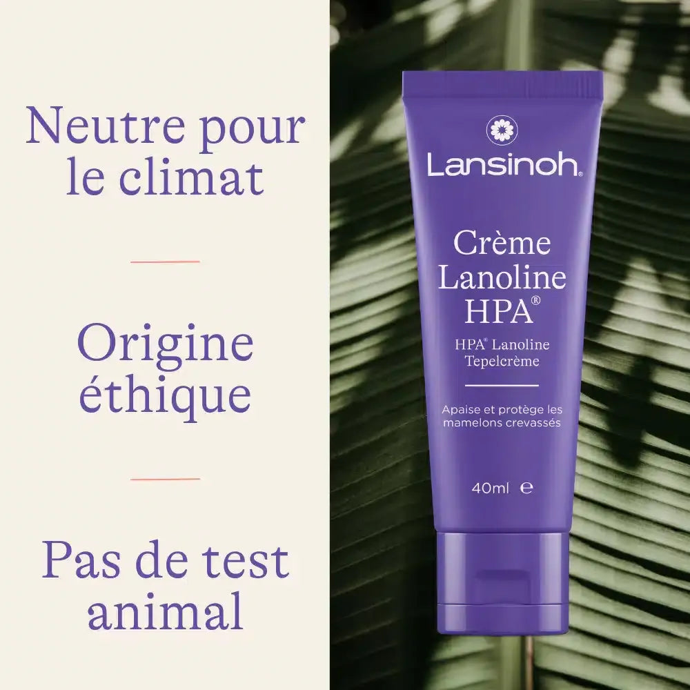 Lansinoh Crème Mamelons