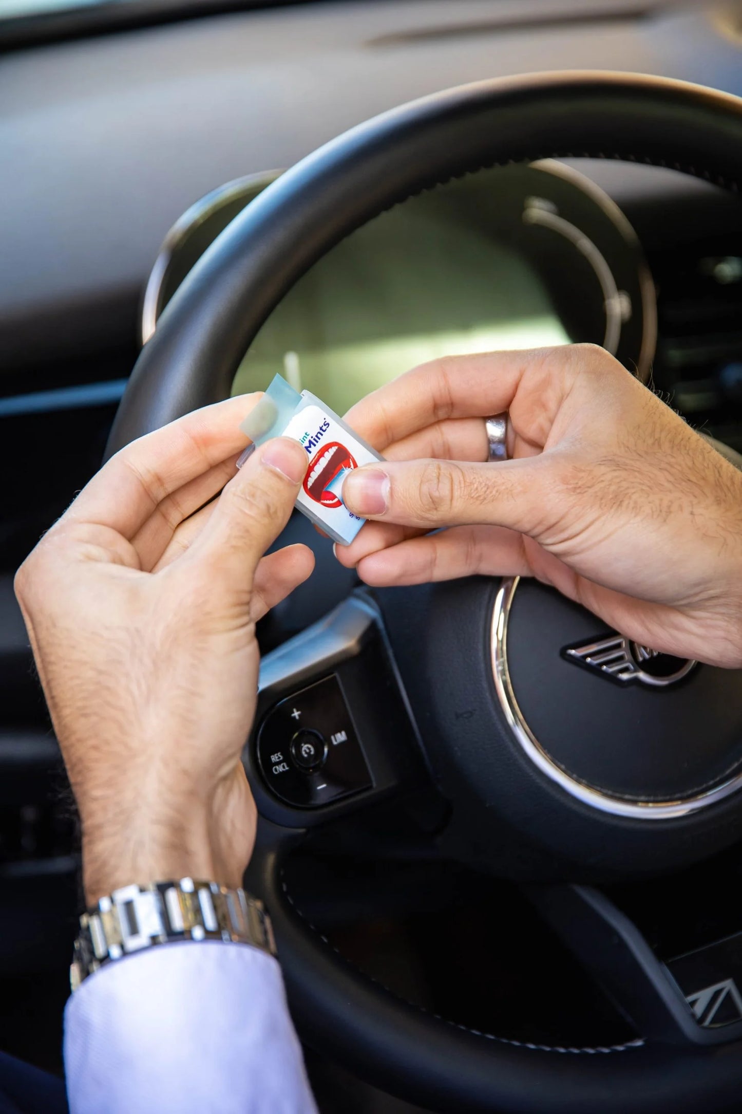 PAPERMINTS Feuilles de Menthe